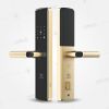 Khóa cửa vân tay Kassler KL-678 Gold App Wifi - anh 1