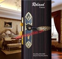 khóa tay gạt cao cấp cửa thông phòng chính hãng roland_Khóa Roland  đồng dùng cho cửa phòng 5839-239 màu Rêu Vàng khói