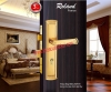Khóa Roland (Đồng đúc) dùng cho cửa chính 8553-253 Vàng bóng - anh 1 Khóa Roland (Đồng đúc) dùng cho cửa chính 8553-253 Vàng bóng - anh 1