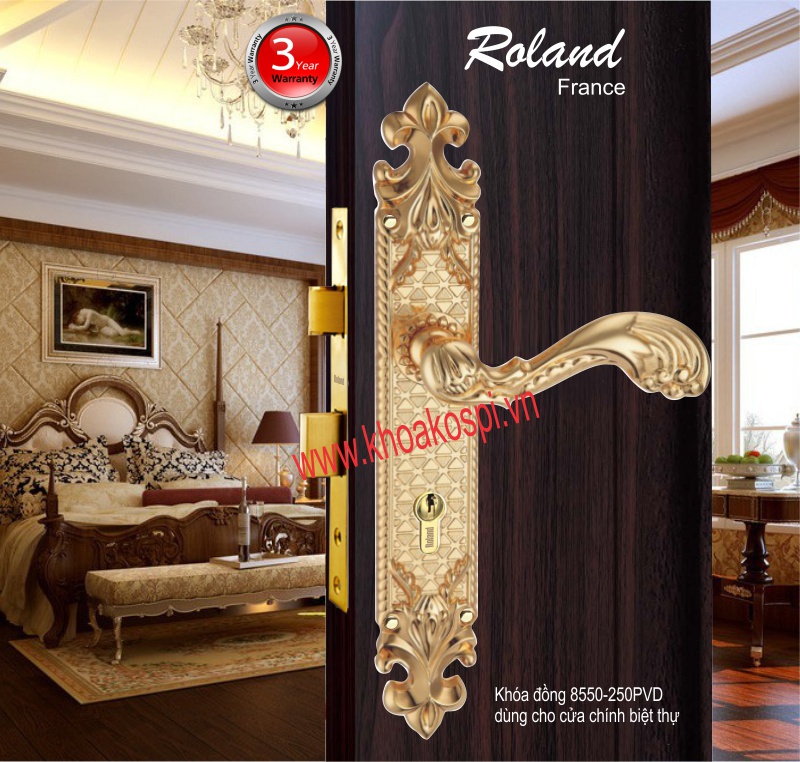 khóa đại sảnh đồng vàng pvd Khóa Roland (Đồng đúc) dùng cho cửa chính 8550-250 Vàng bóng khóa đại sảnh đồng vàng pvd Khóa Roland (Đồng đúc) dùng cho cửa chính 8550-250 Vàng bóng