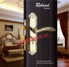 Khóa tay gạt Roland (Đồng đúc) dùng cho cửa phòng khách sạn, biệt thự, căn hộ cao cấp ms 5846-246 Vàng bóng - anh 1